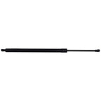 Liftgate Strut for Mazda CX-50 (2023–2024)