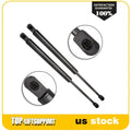2X Rear Hatch Lift Supports for Acura RSX (2002–2006)