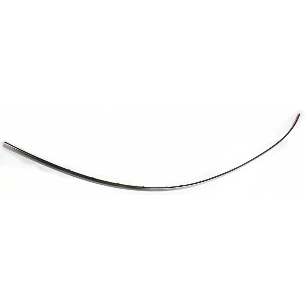 Bumper Trim for Buick Century (1997-2003)
