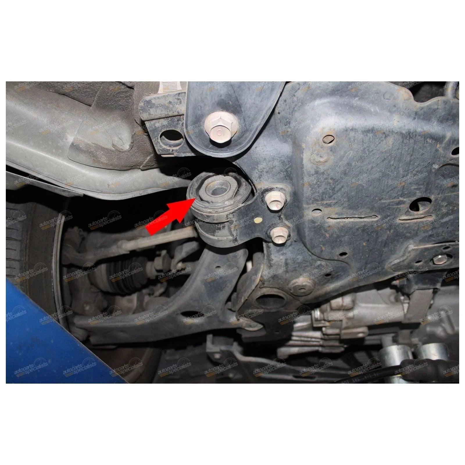 Rear Inner Lower Control Arm Bush for Mazda 3 (2004 - 2014)