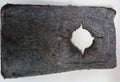 5 Speed M5R2 Trans Interior Insulation for Thunderbird SC (1989–1995)