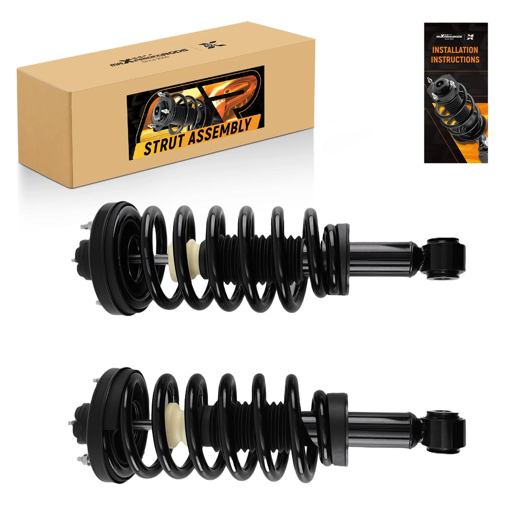Rear Suspension Strut Springs Assembly for Ford Expedition (2003–2006) 171370