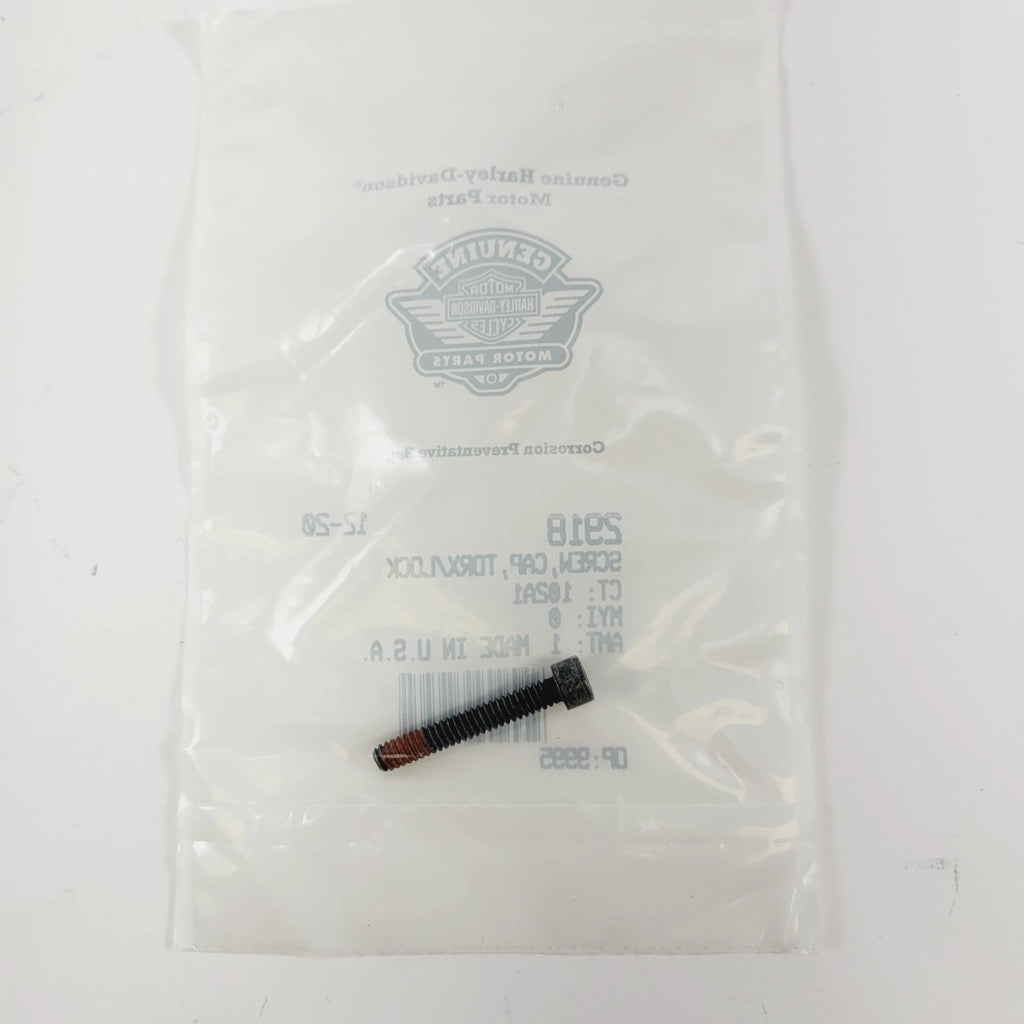 Screw Tap Torx Lock for Harley Davidson Touring (2918)