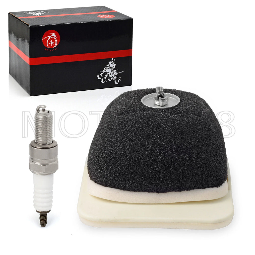 Air Filter Element Assembly & Spark Plug for Yamaha TTR125L (2000-2008)