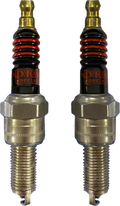 Spark Plug for Indian Scout/FTR (E18-6730SDS)