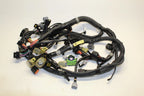 Main Wire Harness for VX Cruiser HO 2016–2020 (6FG-8259L-00-00)