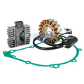 Magneto Stator, Regulator Rectifier, Gasket for Yamaha XT660Z Tenere (2008–2015)