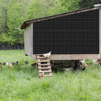 1/4 Inch Hardware Cloth for Chicken Coop (48" x 100')