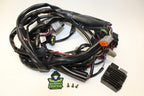 Main Wiring Wire Harness for GTX 155 260 Limited iS (2011–2014)
