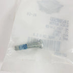 Clamp Screw Button for Harley-Davidson Heritage Classic (HD Torx 1/4-20, 10200588)