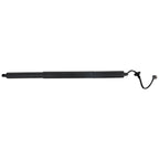 Hatch Lift Supports for Make Model (Driver/Passenger Side)