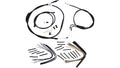 Burly Extended Brake Line Kit for Harley Softail (2000–2006)
