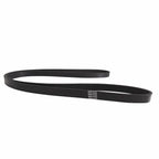 Drive Belt 6PK1995 for Holden Commodore VT VX VU VY VZ 5.7 Gen3 LS1 V8