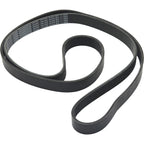Drive Belt for Toyota Camry, Scion xB (2002–2011)