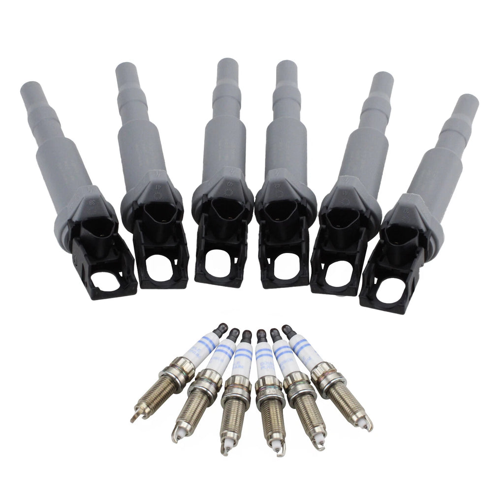 Set of 6 Ignition Coils & 6 Double Platinum Spark Plugs for BMW F30 F12