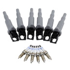 Set of 6 Ignition Coils & 6 Double Platinum Spark Plugs for BMW F30 F12