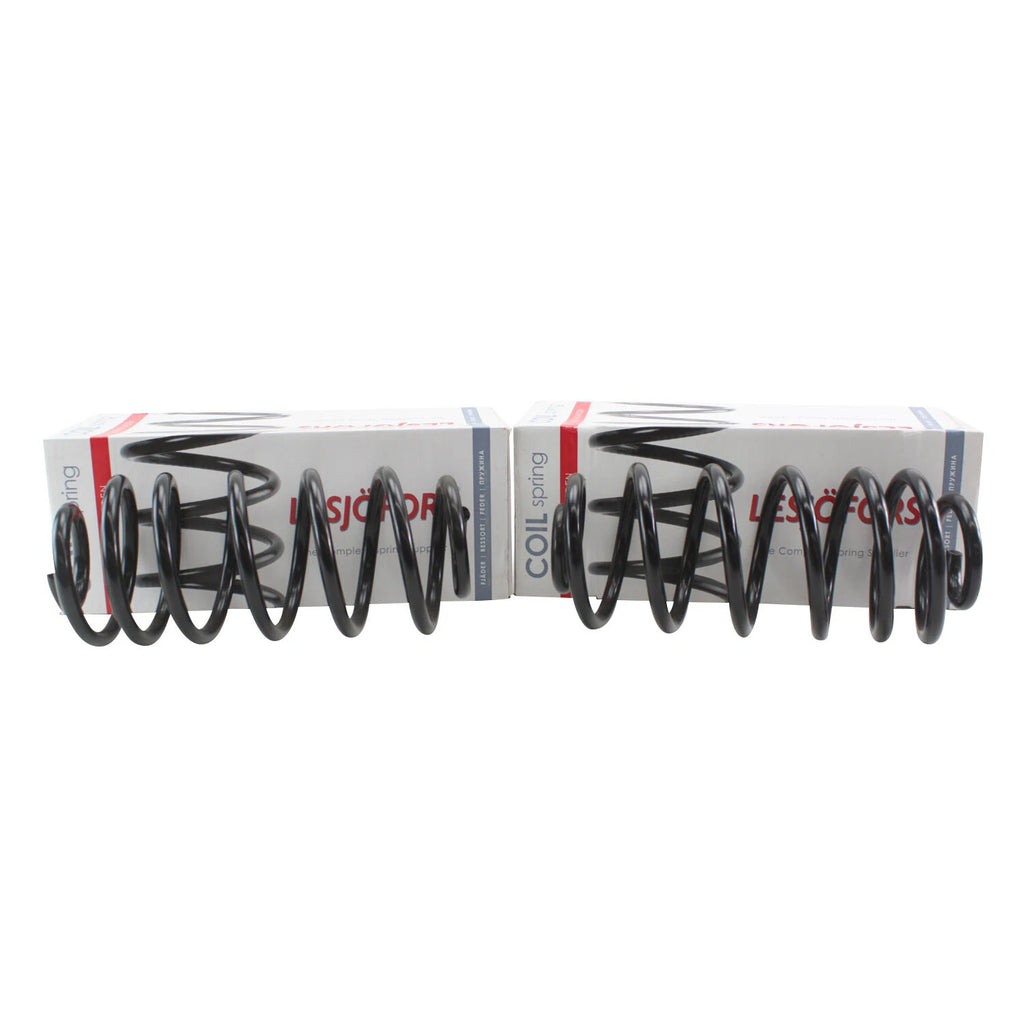 Rear Coil Spring Kit for Chevrolet Pontiac Saturn (4412158)