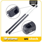 2X Rear Window Glass Lift Supports for Ford Lincoln