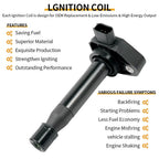 Set of 6 Ignition Coils & Spark Plugs for Acura RL TL TSX Honda Accord Odyssey