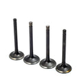 Exhaust & Intake Valve Set for EZGO Golf Cart 295cc 350cc (1996–2002)