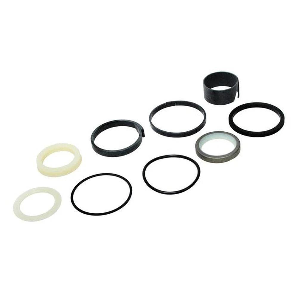 Hydraulic Seal Kit for Case/IH (G110049, 1543267C1)