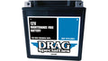 YTX30L AGM Battery for Harley Touring (1997–2023)