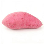 Set of 5 Artificial Foam Sweet Potatoes for Home Decoration
