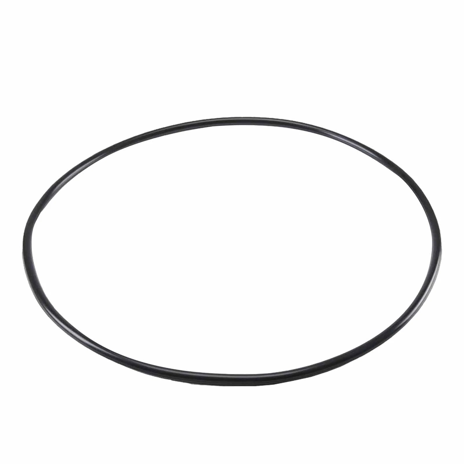 Tank O-Ring for Hayward Micro-Clear, Pro-Grid DE (Dex2400K)