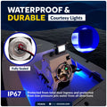 Set of 4 LED Courtesy Lights for Universal Vehicles (1-5/16" Square)