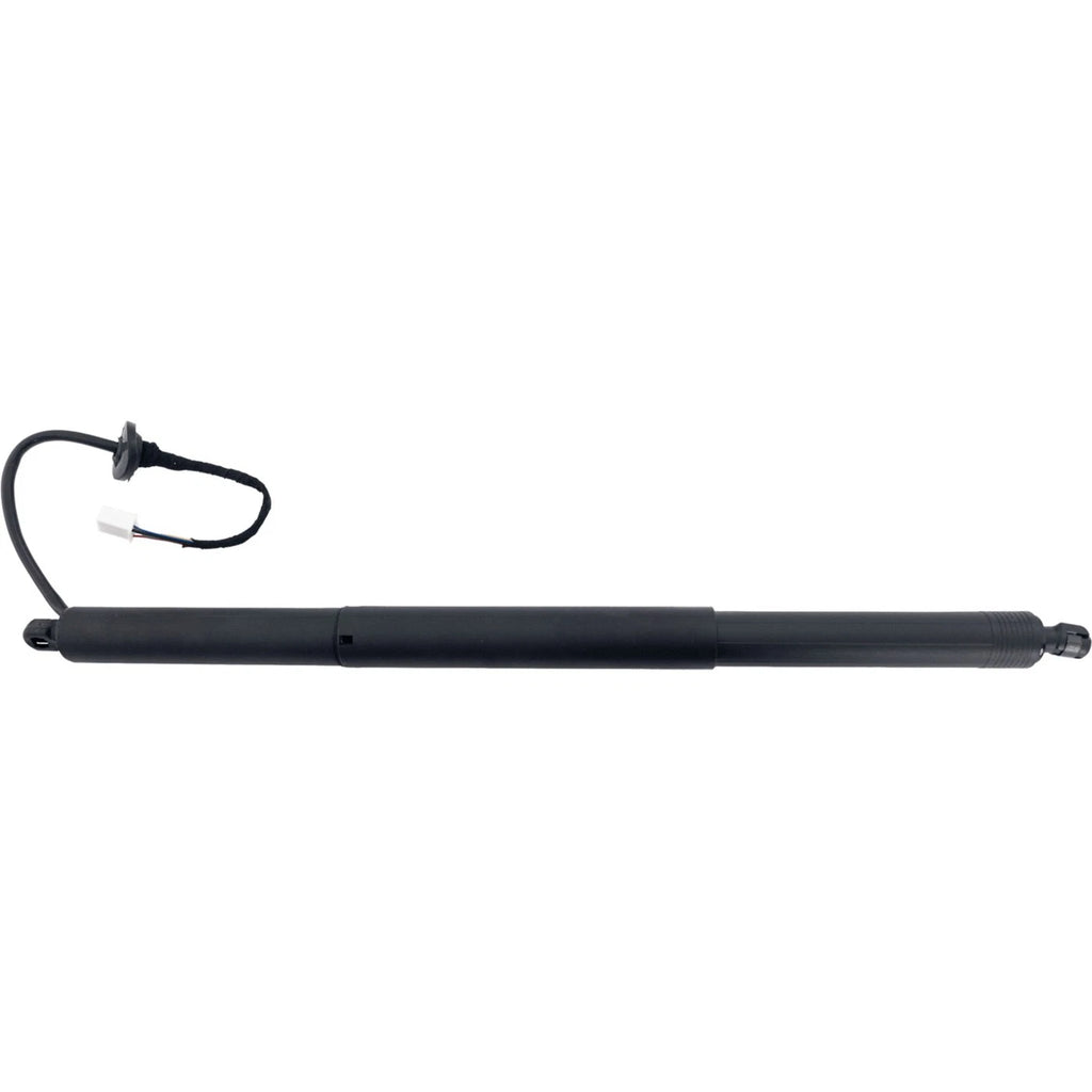 Liftgate Lift Supports Set of 2 for Y Pair