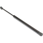 Set of 2 Lift Supports for Mini Cooper (2002–2008)