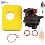 Carburetor Kit for Briggs & Stratton Mower 300E 450E (125cc) (08P502 09P602)
