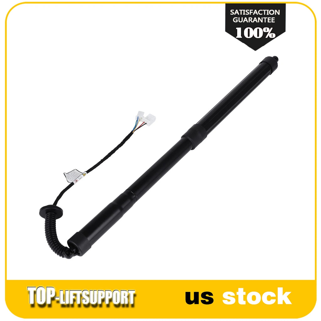 Liftgate Lift Support Shock Strut for Honda Pilot (2018–2020)
