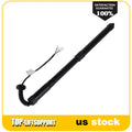 Liftgate Lift Support Shock Strut for Honda Pilot (2018–2020)