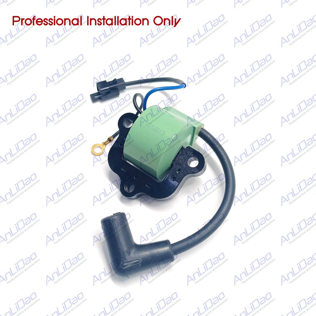 Ignition Coil for Johnson Evinrude 18 20 25 35HP (18-5172 581786 581370 502881)