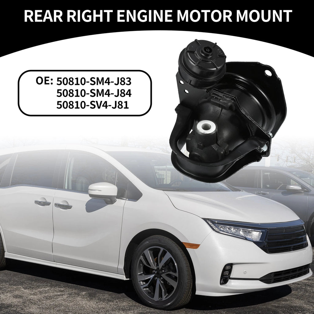 Rear Engine Motor Mount for Honda Odyssey (1997–1998), Honda Accord (1997–1998)