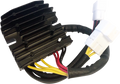 Regulator/Rectifier for RICK'S MOTORSPORT ELECTRIC Hot Shot Series (10-138H)