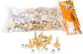 96 Pack WOODYS Gold Digger Carbide Studs 1.325 Inch for Snow Tracks