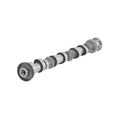 Exhaust Camshaft Left Side for Dodge Caravan, RAM 1500 3.6L V6 (2013–2018)