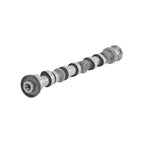 Exhaust Camshaft Left Side for Dodge Caravan, RAM 1500 3.6L V6 (2013–2018)