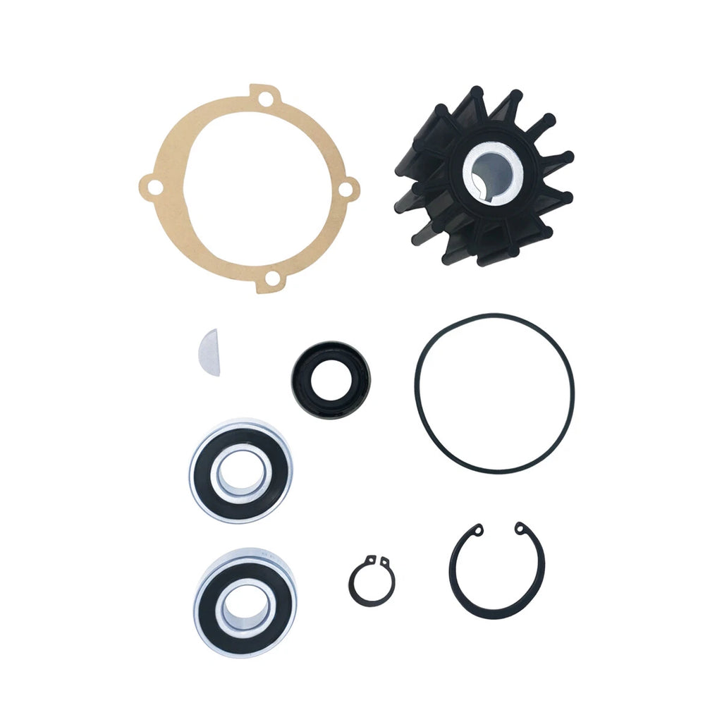 Minor Repair Kit 19300 for Sherwood Pump P101 P1012 (40064)