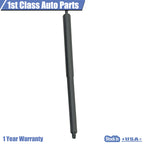 Lift Supports for Ford Edge (2015-2018) Rear Tailgate