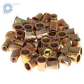 Set of 50 Rivet Nuts for Automotive Applications (Various Models)