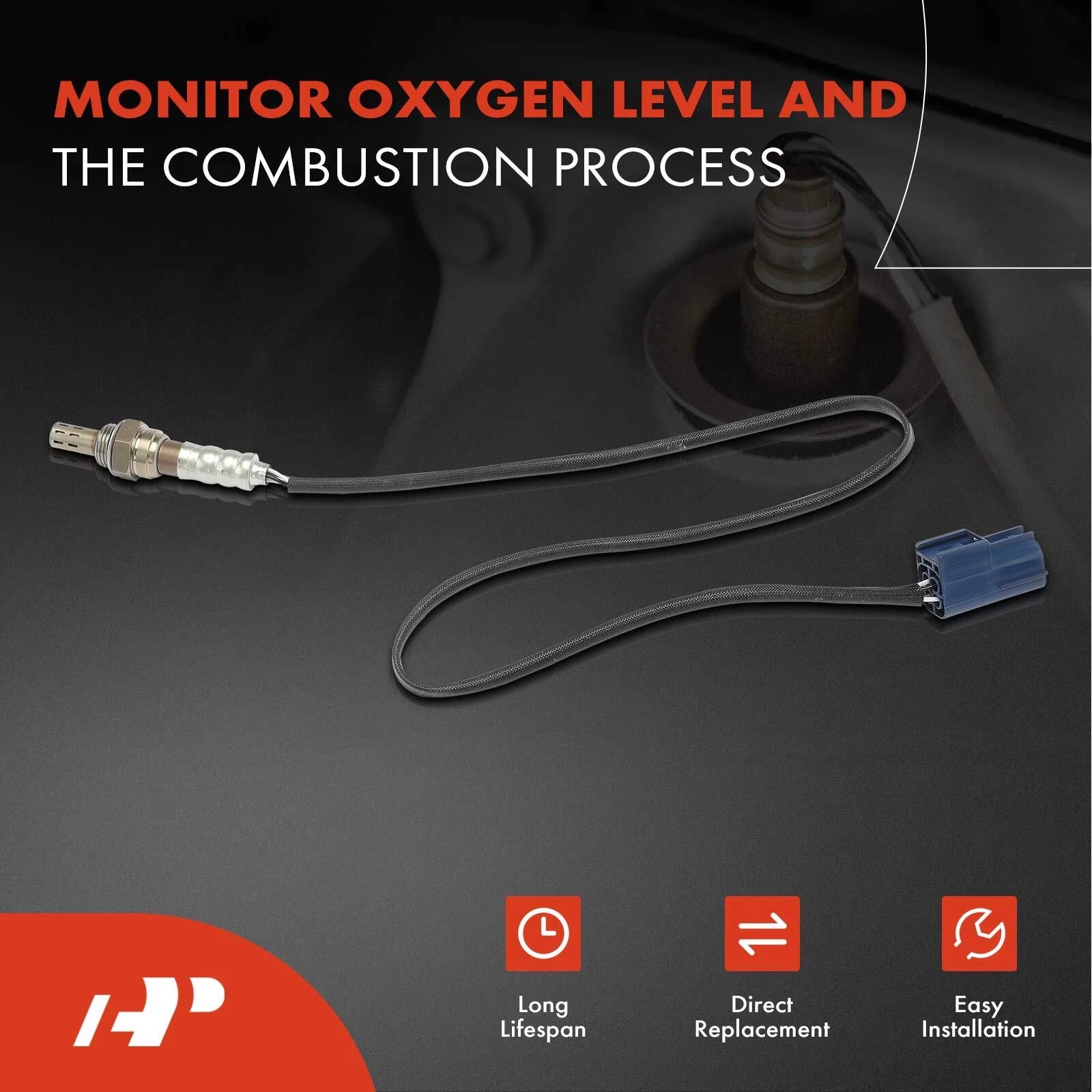 O2 Oxygen Sensor for Nissan Sentra (2001-2002)