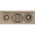 Hydraulic Seal Kit for Bobcat (6514736, 153464)