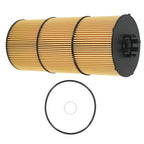 Oil Filter for Freightliner 122SD/Cascadia (2020–2022) LF17800 P582506