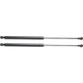 Lift Support Set for Toyota Prius (2004-2007) - Left & Right 2-Pcs