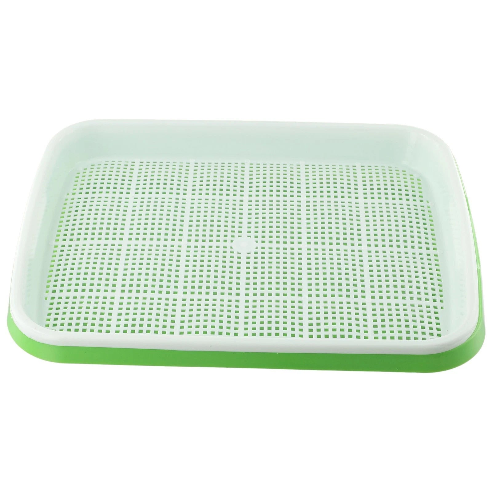 Plastic Sprouting Tray for Germination (Set of 4)