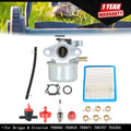 Carburetor for Briggs & Stratton (Fits Various Models)