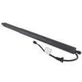 Liftgate Power Hatch Lift Support for Hyundai Palisade (2020–2023) 81841S8100